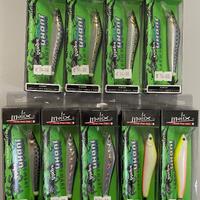 Artificiali Molix WTD Smart Squid – NUOVI