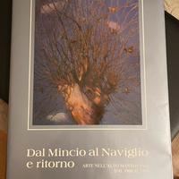 Dal mincio al naviglio e ritorno