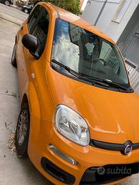 Panda nuovissima