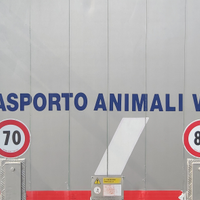 Trasporto animali vivi