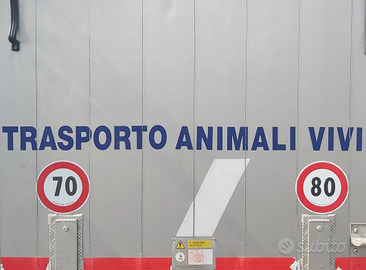 Trasporto animali vivi