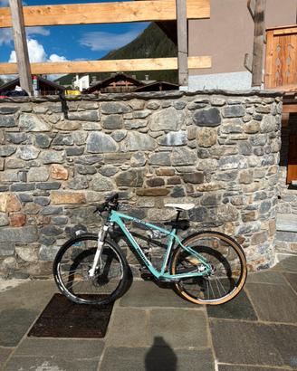 Bici Bianchi JAB 29.2