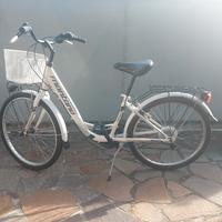 bicicletta