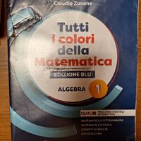 tutti i colori della matematica algebra 1