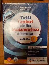 tutti i colori della matematica algebra 1