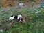 Immagine 3
