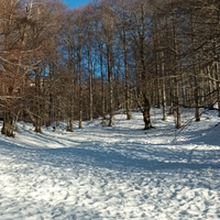 Monte livata casa vacanza affitti brevi