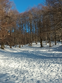 Monte livata casa vacanza affitti brevi