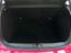 Immagine 11