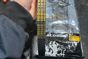 Cinghia minarelli furia rossa