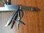 Immagine 4
