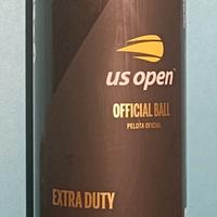 palline da tennis