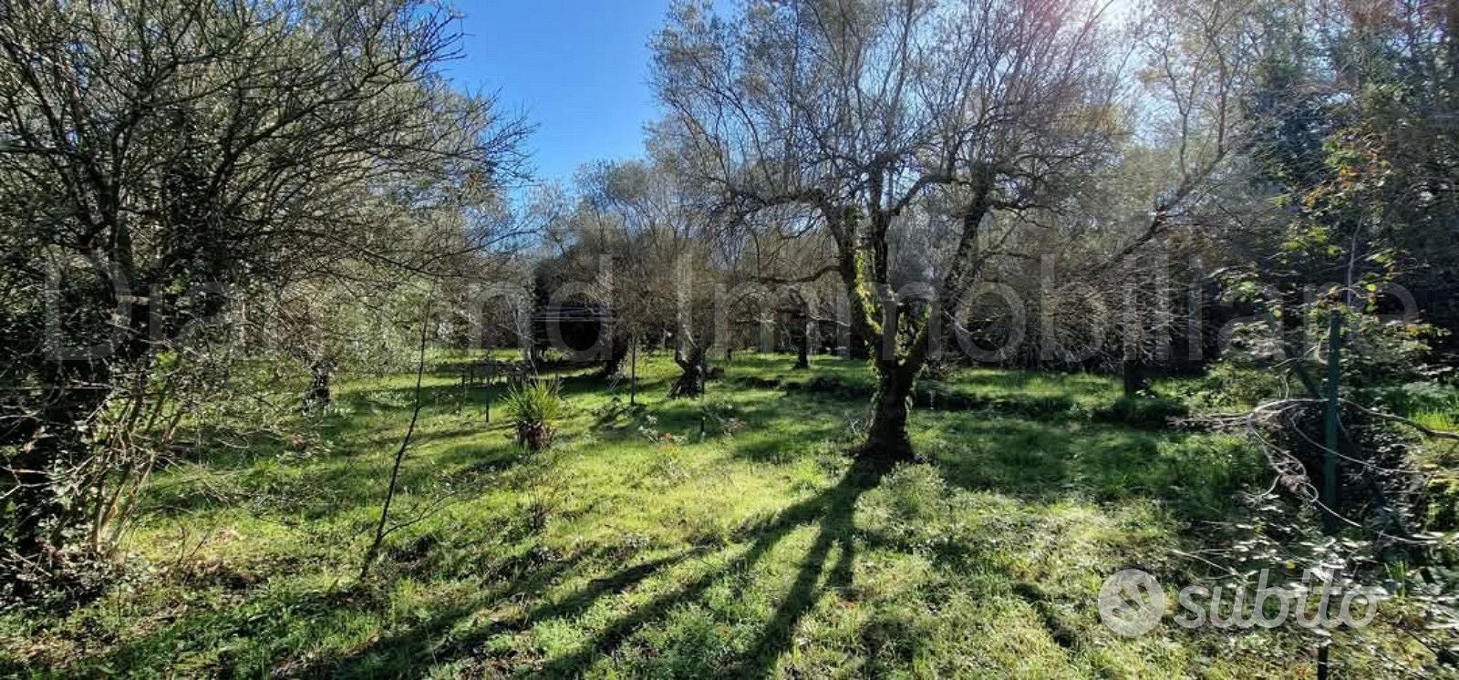 Terreno con rustico a Castiglione di Sicilia - Vista 3