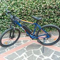 Bici elettrica