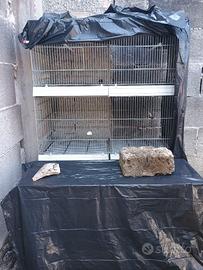 gabbia per ucelli