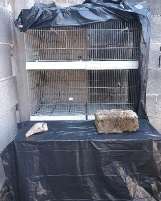 gabbia per ucelli