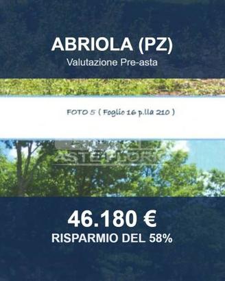 Immobile in asta di 156406 m² a Abriola