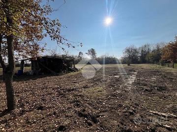 TER. AGRICOLO A SAN FRANCESCO AL CAMPO