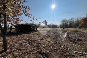 TER. AGRICOLO A SAN FRANCESCO AL CAMPO