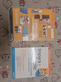 lo specchio e la finestra ISBN 9788839529312