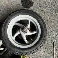 ruota posteriore zip