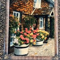 Quadri e tappeti  persiani