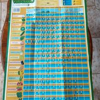 Verduraio Barbanera  vintage orto luna