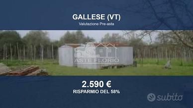 Immobile in asta di 3200 m² a Vignanello