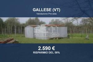 Immobile in asta di 3200 m² a Vignanello