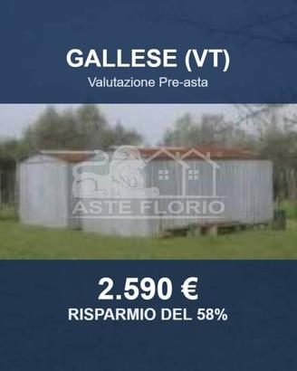 Immobile in asta di 3200 m² a Vignanello