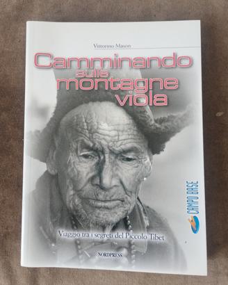 libro "camminando sulle montagne viola"