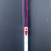 Sci di fondo Rossignol 1,95 con racchette