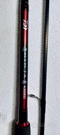 Canna pesca spinning Daiwa