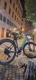 Bici elettrica Argento Performance – Come nuova