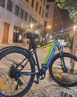 Bici elettrica Argento Performance – Come nuova