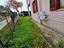 Immagine 12