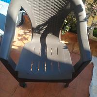 sedie plastica 