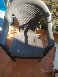 sedie plastica 