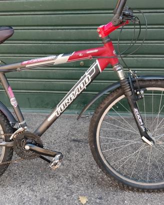 MTB alluminio cambio Shimano 