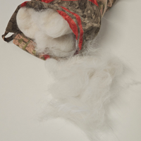 Pelo di Gatto Siberiano