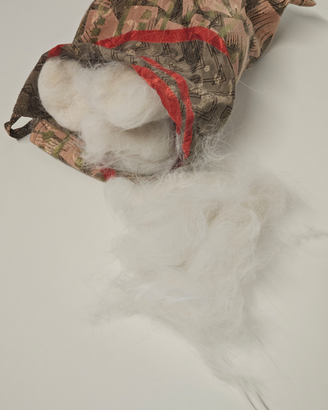 Pelo di Gatto Siberiano