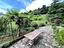 Immagine 22