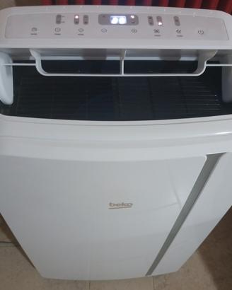 Climatizzatore portatile