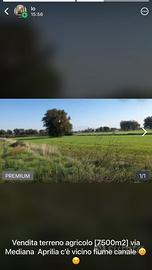Terreni agricoli