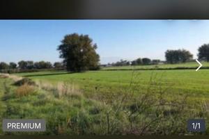 Terreni agricoli
