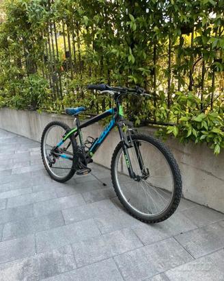 bicicletta OLMO sentiero 24"