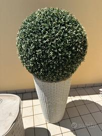Vaso alto bianco in rattan con pianta sferica