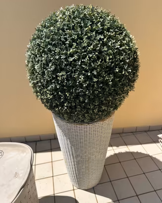 Vaso alto bianco in rattan con pianta sferica