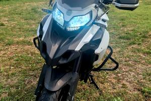 benelli trk502 
