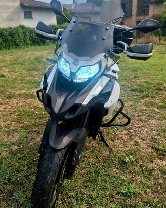 benelli trk502 